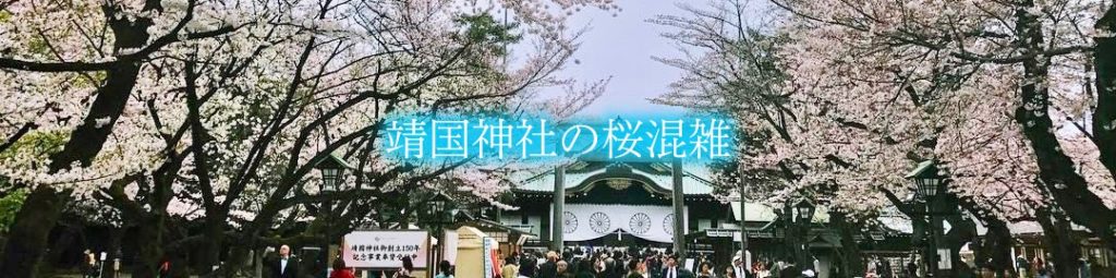 【靖国神社の桜混雑2024】 見頃の桜祭り&花見屋台の混雑！ライトアップ情報